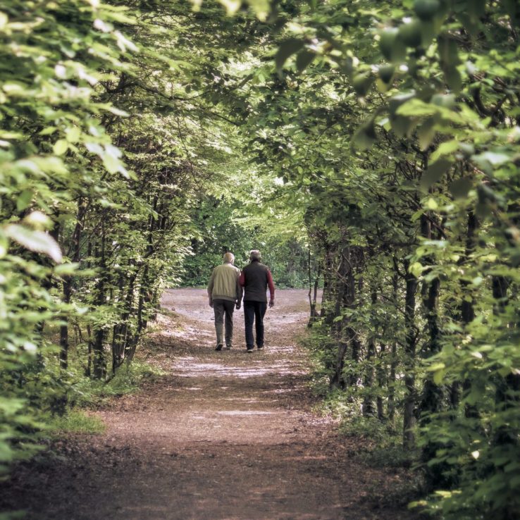 People walk on a path in the woods.